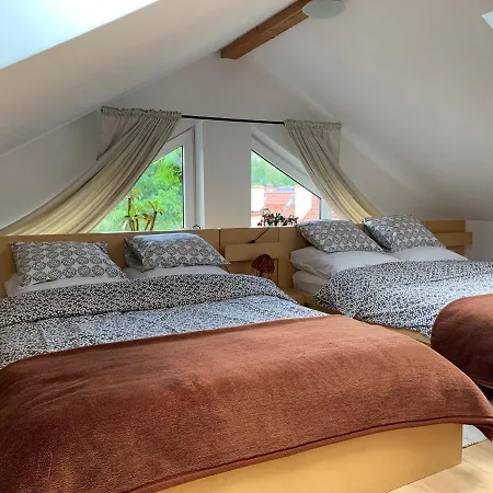 Tecza シフィノウイシチェ