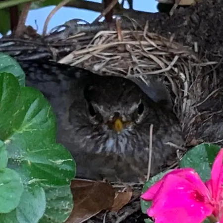 Tecza Apartmán Svinoústí