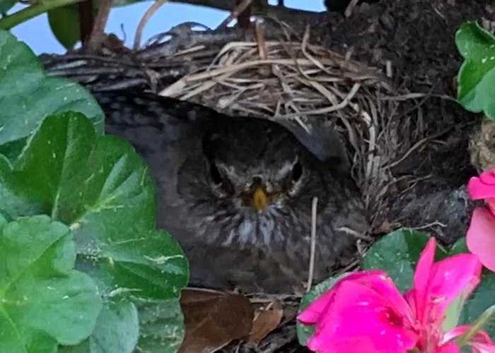 Tecza Apartman Swinoujscie