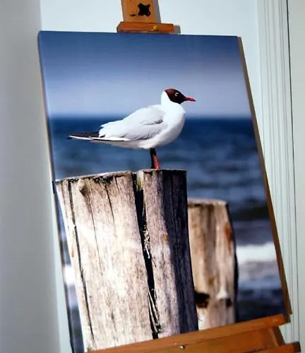 Tecza * シフィノウイシチェ